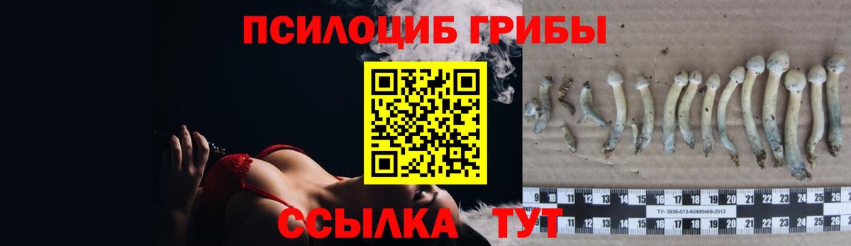 Галлюциногенные грибы GOLDEN TEACHER Югорск